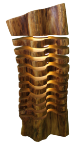 LI8 #11 "Spine"
