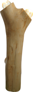LI8 #7 "Torso"